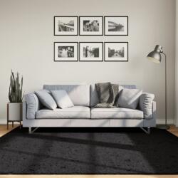 vidaXL Covor „OVIEDO, fire scurte, negru, 200x200 cm GartenMobel Dekor (375560) Covor