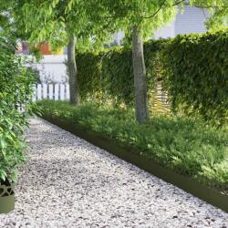 vidaXL Borduri pentru gazon 20 pcs Verde masliniu 103 x 0, 05 x 22 cm GartenMobel Dekor (874838)