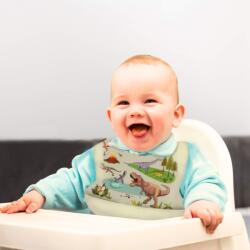 Empria® Bavetica din silicon pentru diversificare bebelusi, cu buzunar, baveta cauciuc bebe, Empria, Diverse culori si modele (BaveSilcDnBL) Set pentru masa bebelusi