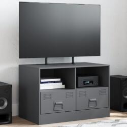 vidaXL Comoda TV, antracit, 67x39x44 cm, otel GartenMobel Dekor (841743)