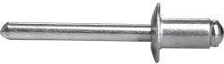 Extol Premium popszegecs készlet 6, 4×19 mm, 250 db (8813878) (8813878)