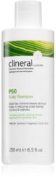 AHAVA Clineral PSO sampon cu efect calmant pentru un scalp uscat, atenueaza senzatia de mancarime 250 ml
