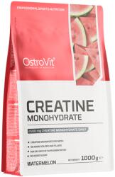 OstroVit Creatine Monohydrate 1000 g dinnye