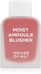 House of Hur Moist Ampoule Blusher folyékony arcpirosító mini árnyalat 03 Rose Brown 10 ml