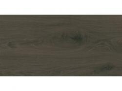 Domino Tc Pietra Aurea Wood 30, 8x60, 8 Falicsempe I. O. + (5900199285934)