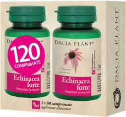 DACIA PLANT Pachet Echinacea Forte, 120 comprimate, Dacia Plant - springfarma