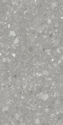 Ceramaxx epi Gresie Gresie Interior/Exterior Portelanata Terra Grey, 60x120 cm, Gri, Mata, Rectificata, Aspect Piatra gri (32172)
