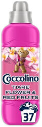 Coccolino Öblítő koncentrátum 925 ml (37 mosás) Coccolino Tiare Flowers&Red Fruits (3898_6703_C35512_82510287) - tintasziget