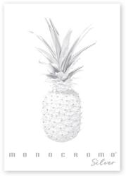 Pigna Monocromo Silver A4, 38 листа, с телбод, карирана тетрадка P1111-1291 (P1111-1291)