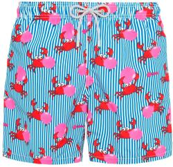 MC2 Saint Barth Costum de baie Gustavia GUS0001-08335L crab big babol stripes 61