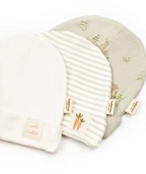 BabyCosy Set de 3 caciulite pentru nou nascut, 100% bumbac organic, Rabbit, BabyCosy (BC-CSY5959)