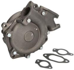 THERMOTEC Pompă de apă, răcire motor THERMOTEC WP-DZ117 (WP-DZ117)