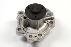 HEPU Pompă de apă, răcire motor HEPU P396 (P396)