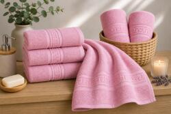 Ralex Pucioasa Prosop HORECA Greek Border 500g Rose Paradise din Bumbac 100% 70x140 cm (RPU-110285) Prosop