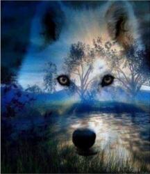 NORIMPEX - Puzzle Tablou Diamant: Spirit de lup noaptea 30x40cm - 1 - 39 piese
