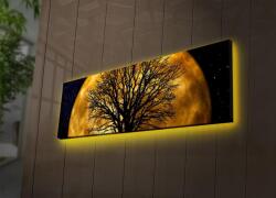 Adana Tablou Canvas cu Led Luna Galbena fara Priza, Galben, 90x30 cm (254LED3269)