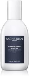 SACHAJUAN Intensive Repair Shampoo șampon pentru părul deteriorat și întărit de soare 250 ml