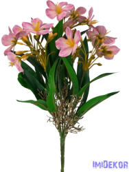  Klívia nyílt csokor 34 cm - Pink
