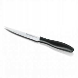 Tescoma Sonic fogazott kés 12 cm rozsdamentes acél steak kések (862024.00)