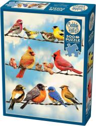 Cobble Hill Puzzle Cobble Hill din 500 de piese - Pe fir (45046) Puzzle