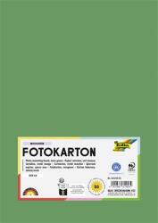 FOLIA Декоративен картон, 2 страници, A4, 300 g, 50 листа, FOLIA, зелен мъх 614/50 53 (614/50 53)