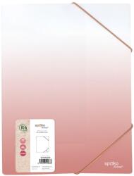 Spoko Папка SPOKO ReLeaf Gradient PP A/4 розова S111142312 (S111142312)