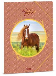 Ars Una Гумена папка ARS UNA A/4 My Sweet Horse 50213580 (50213580)