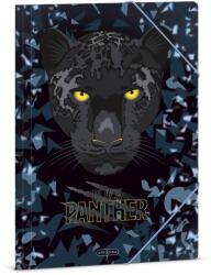 Ars Una Гумена папка ARS UNA A/4 Black Panthers (50215294)