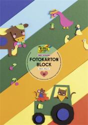 FOLIA Декоративен картон, 2 страници, A3, 300 г, 10 листа, FOLIA, Basic", смесени цветове 607 (607)