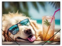 Panta Plast Гумена папка, 15 мм, PP, A4, PANTA PLAST, "Chillout dog" 0410-0064-53 (0410-0064-53)