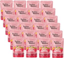 Dolina Noteci Dolina Noteci Superfood Nedves eledel kistestű kutyáknak, kecskének és pulykának, 24x100 g