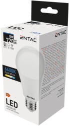 Entac LED Globe E27 15W CW 6400K - shopbazis