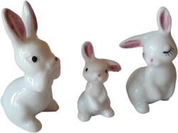 Hobbyplanet Familie de iepurasi din portelan - miniaturi casute de papusi (CC78080) Figurina