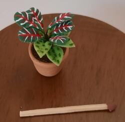 Hobbyplanet Planta exotica in ghiveci ceramica-miniatura papusi 1: 12 (CC75725_2)