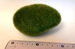 Hobbyplanet Muschi artificial decor - casute papusi diorame (M1125)