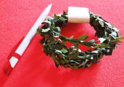 Hobbyplanet Decor ghirlanda cu frunzulite - 2m - casuta papusii-miniatura (GF18)
