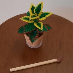 Hobbyplanet Planta exotica in ghiveci ceramica-miniatura papusi 1: 12 (CC75725_1)