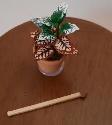 Hobbyplanet Planta exotica in ghiveci ceramica-miniatura papusi 1: 12 (CC75725)