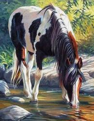 NORIMPEX - Puzzle Paint by numbers: Cal lângă râu 40x50cm - 1 - 39 piese
