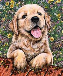 NORIMPEX - Puzzle Tablou Diamant: Cățel Labrador 30x40cm - 1 - 39 piese