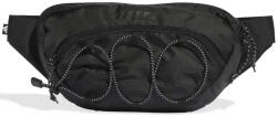 adidas Terrex Magazin online pentru bărbați Bum Bag pentru Talie Negru KE1561 (KE1561)