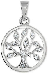 Soliter Brilio Silver Pendant de Argint de Argint 446 001 00356 04