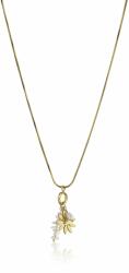 Emily Westwood Colier fin placat cu aur EWN23045G