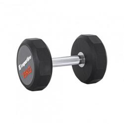 inSPORTline Gantera inSPORTline Profi CPU 15 kg (21665) - sport-mag