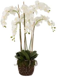 J-Line plantă artificială decorativă 60 x 53 x 104 cm 99KK-DRUZUF_MLC (12489)