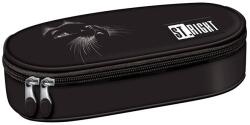 St. Majewski Penar borseta 1 fermoar, 1 extensie, oval, Majewski, Gama St. Right, Colectia Black Cat 2026, PC-01, 23x9.5x5.5 cm (5903235697173) Penar
