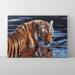 Makana Tigris a vízben - Számfestő készlet, kerettel (40x50 cm)