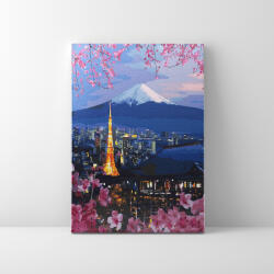 Makana Fujiyama és Sakura- Számfestő készlet, kerettel (40x50 cm)