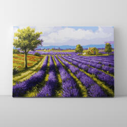 Makana Levendula mező - Számfestő készlet, kerettel (40x50 cm)
