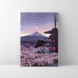 Makana Tavaszi japán éjszakák - Számfestő készlet, kerettel (40x50 cm)